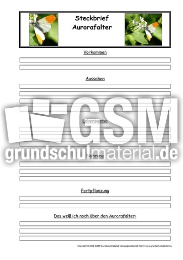 Aurorafalter-Steckbriefvorlage.pdf
